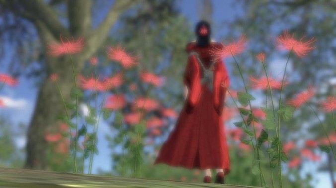 为什么多地「国补」暂停了？